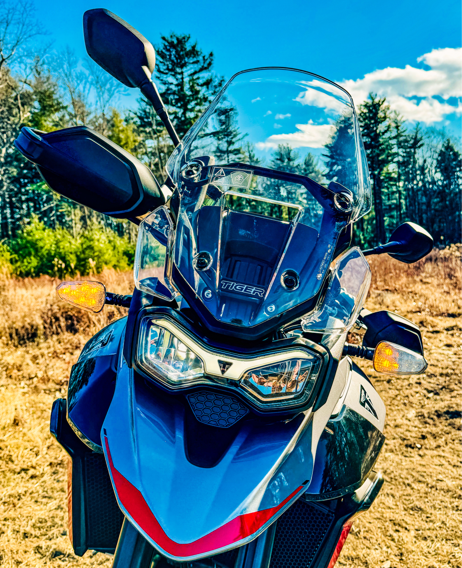 2024 Triumph Tiger 900 GT in Enfield, Connecticut - Photo 10