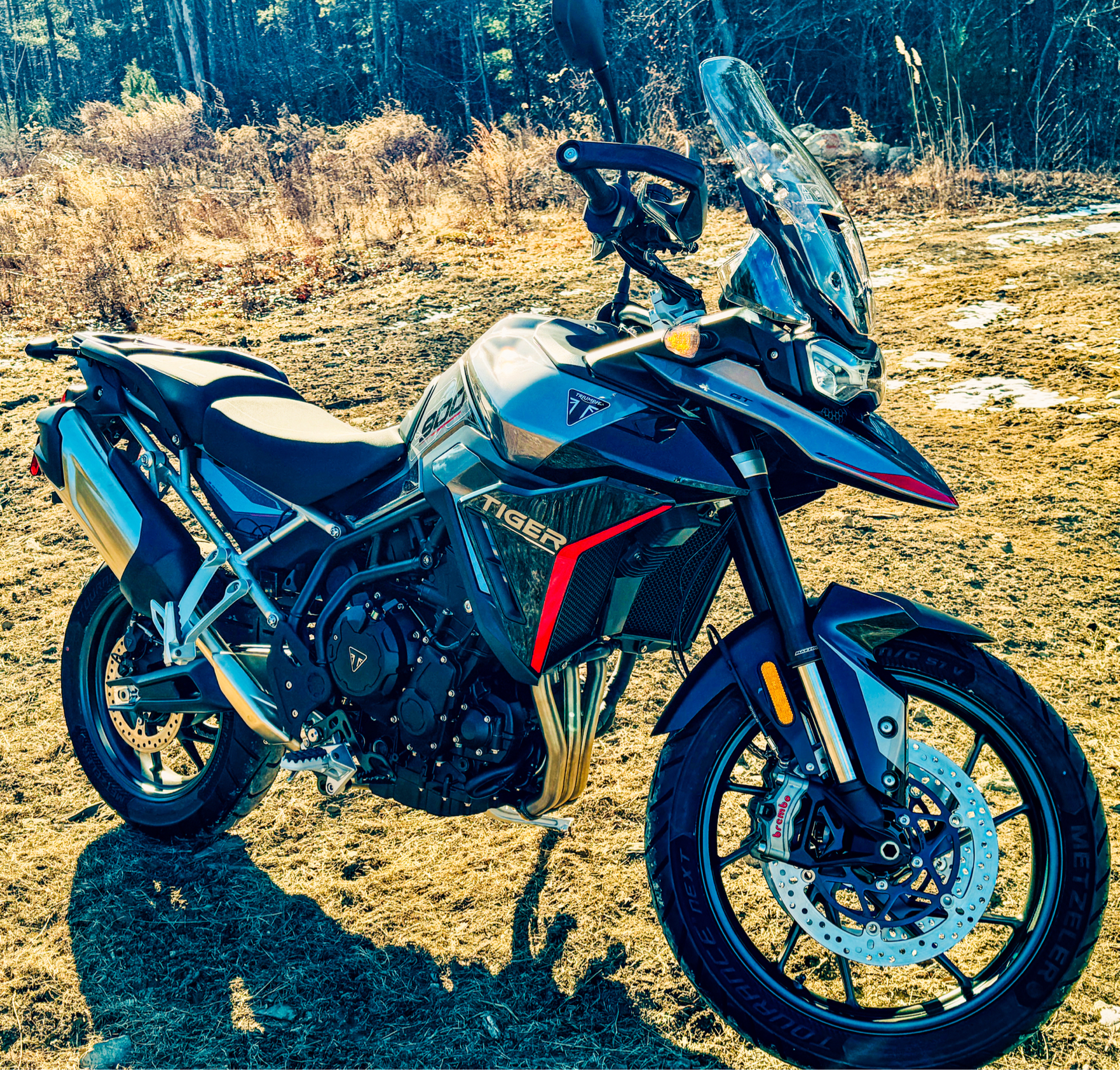 2024 Triumph Tiger 900 GT in Enfield, Connecticut - Photo 19