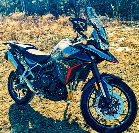 2024 Triumph Tiger 900 GT in Enfield, Connecticut - Photo 19