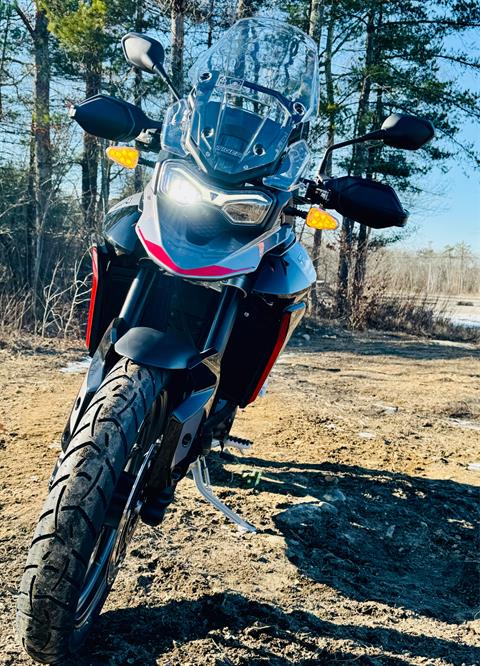 2024 Triumph Tiger 900 GT in Enfield, Connecticut - Photo 7