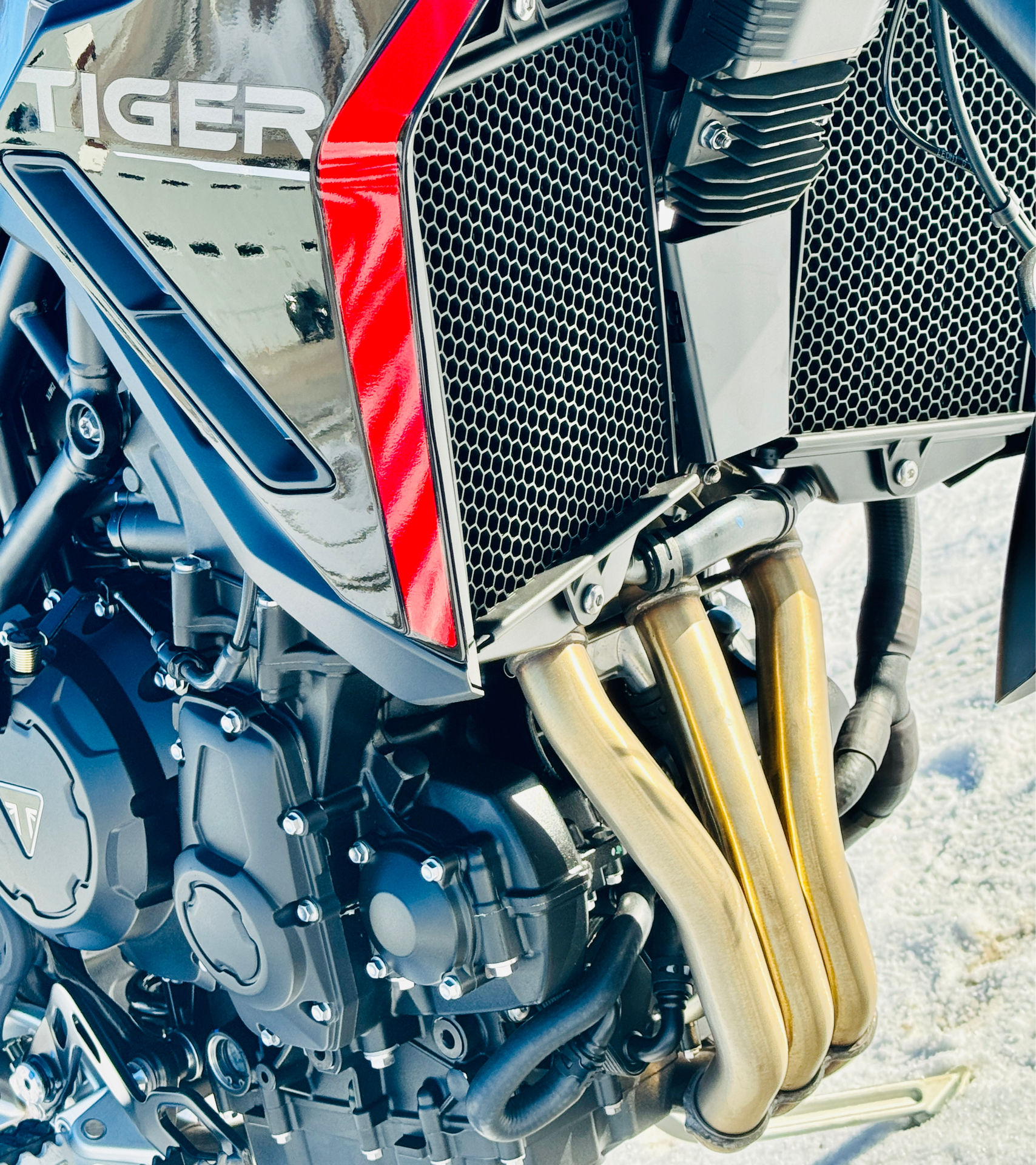 2024 Triumph Tiger 900 GT in Enfield, Connecticut - Photo 6