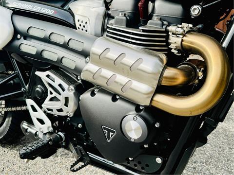 2024 Triumph Scrambler 1200 X in Enfield, Connecticut - Photo 18