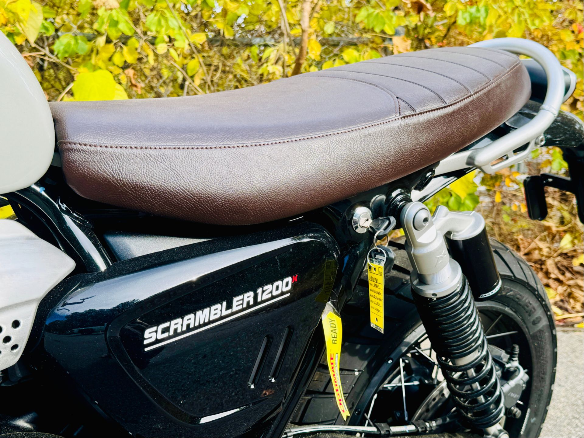 2024 Triumph Scrambler 1200 X in Enfield, Connecticut - Photo 11