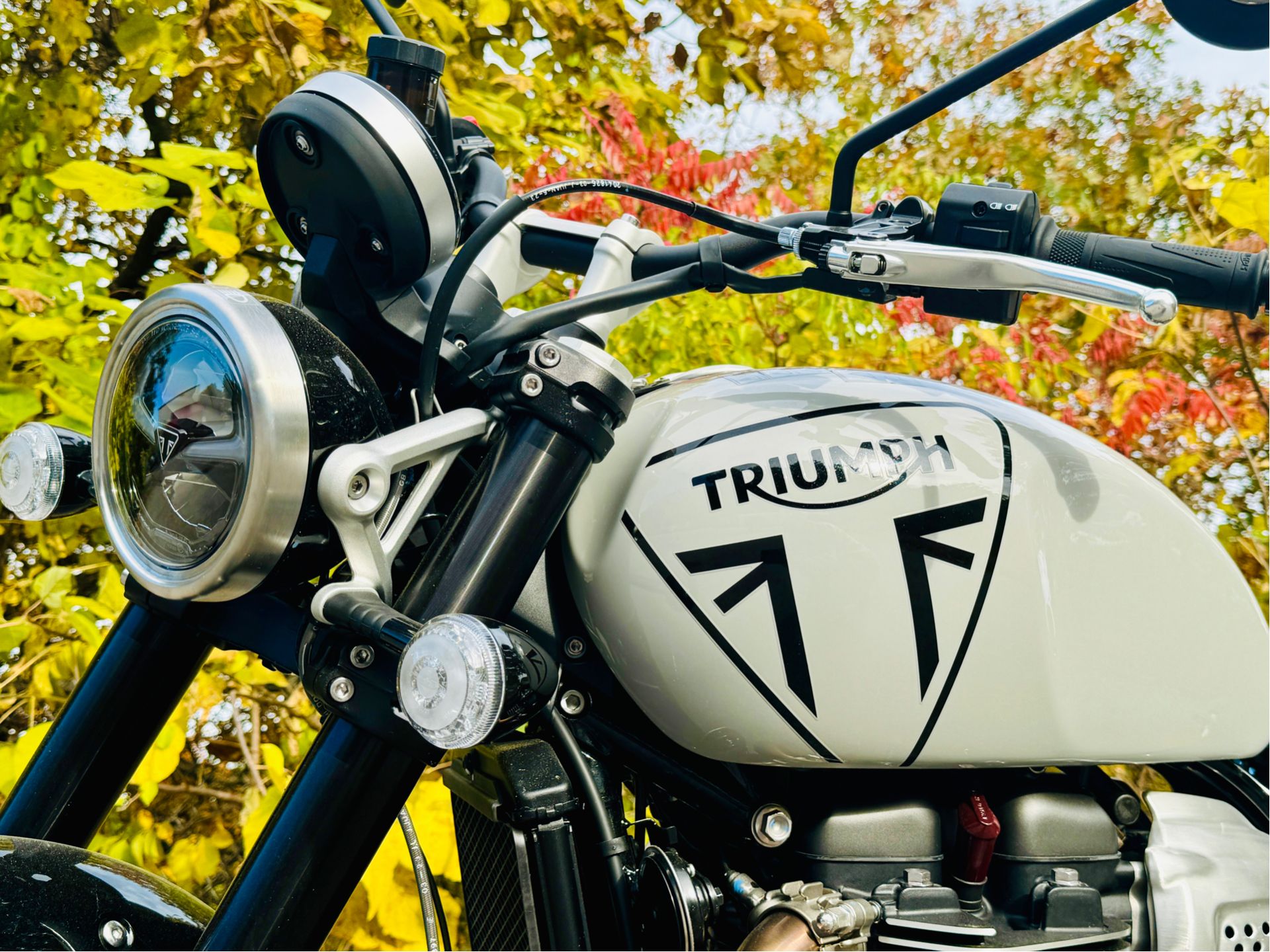2024 Triumph Scrambler 1200 X in Enfield, Connecticut - Photo 24