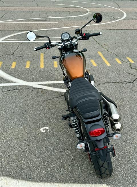 2024 Triumph Scrambler 900 in Enfield, Connecticut - Photo 8