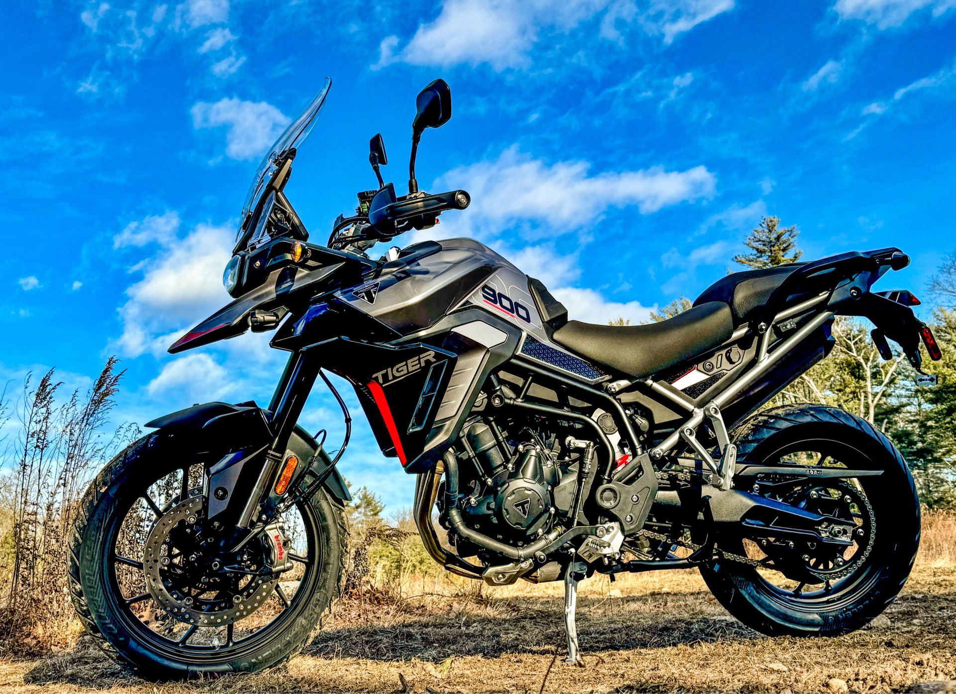 2025 Triumph Tiger 900 Rally Pro in Enfield, Connecticut - Photo 16