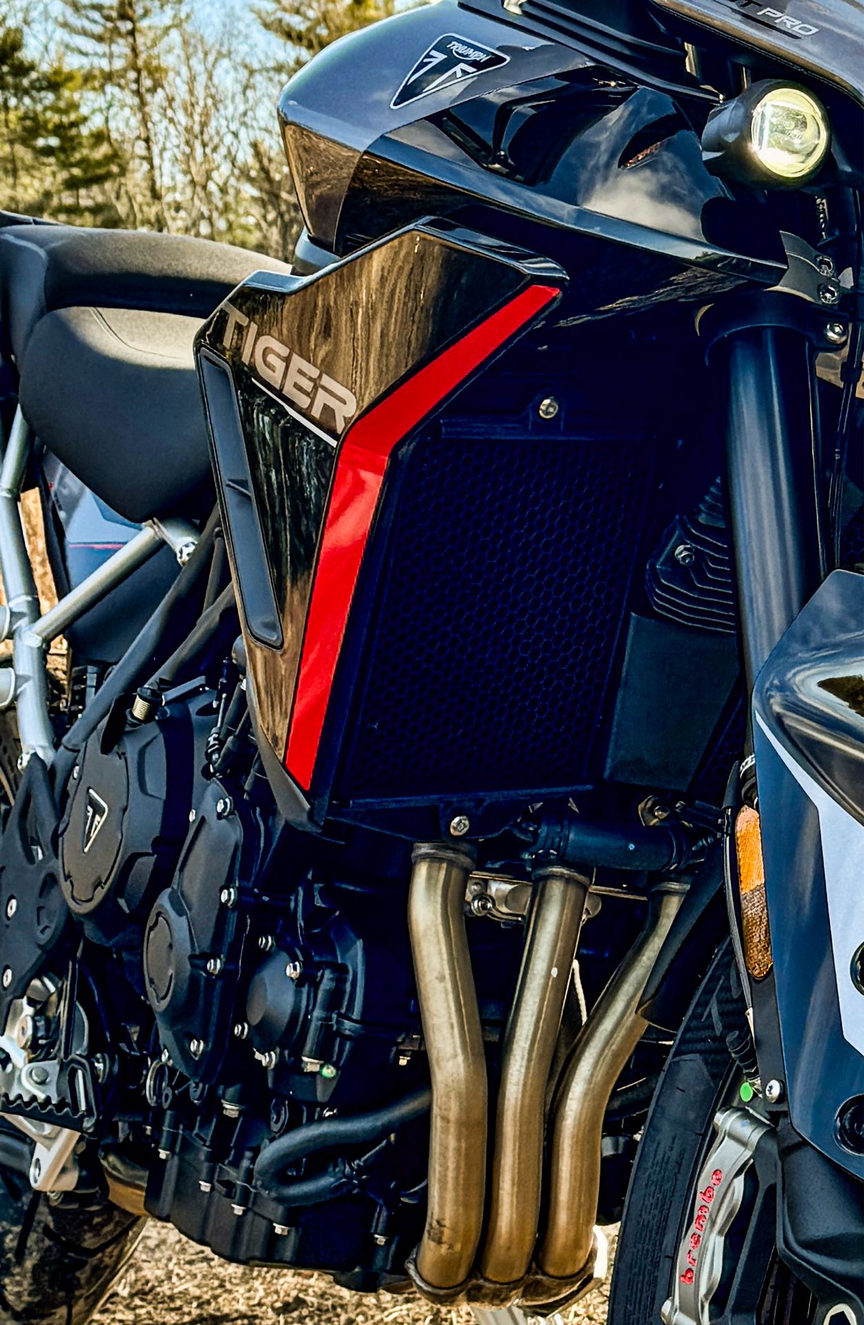 2025 Triumph Tiger 900 Rally Pro in Enfield, Connecticut - Photo 4
