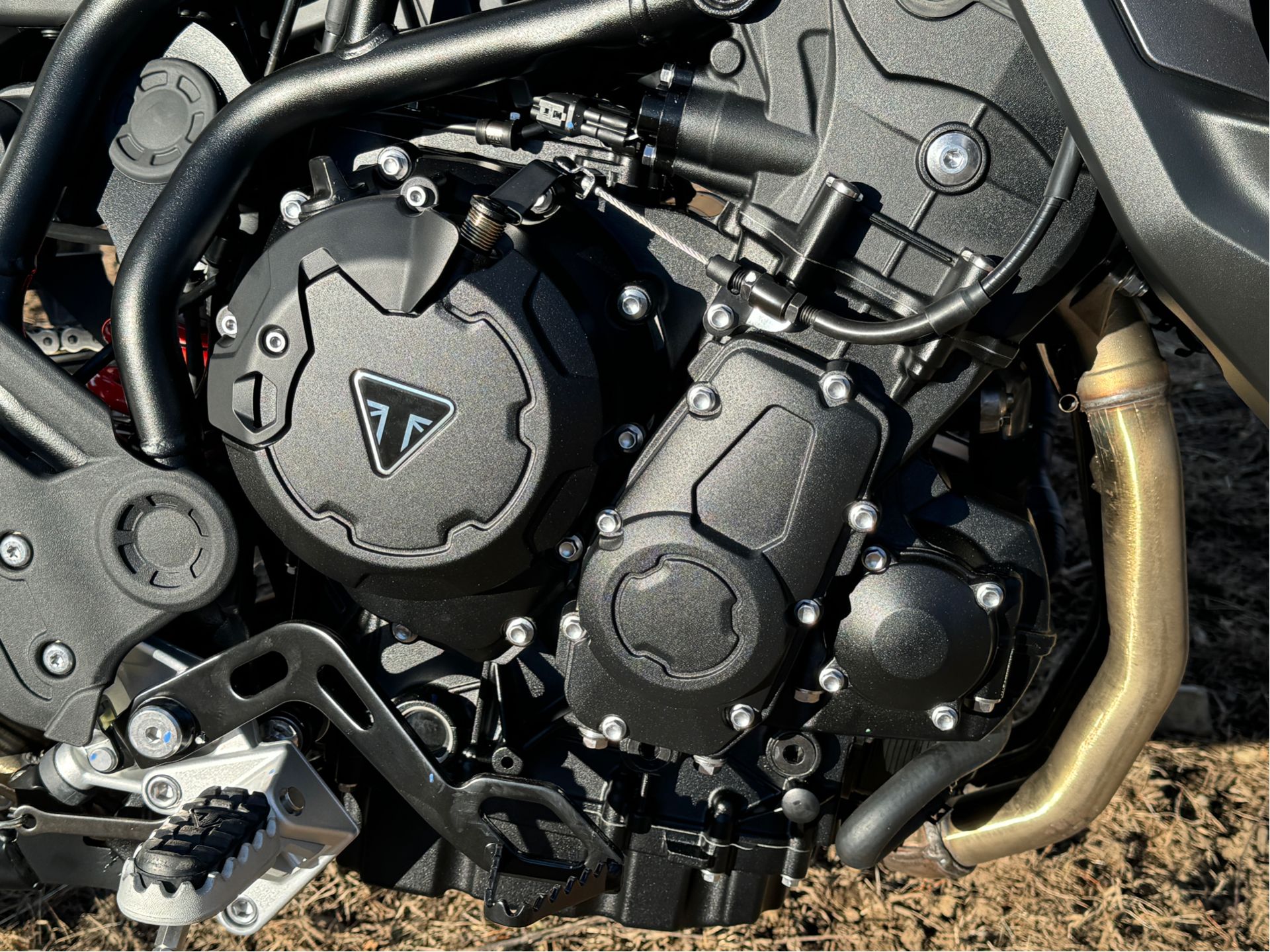 2025 Triumph Tiger 900 Rally Pro in Enfield, Connecticut - Photo 18