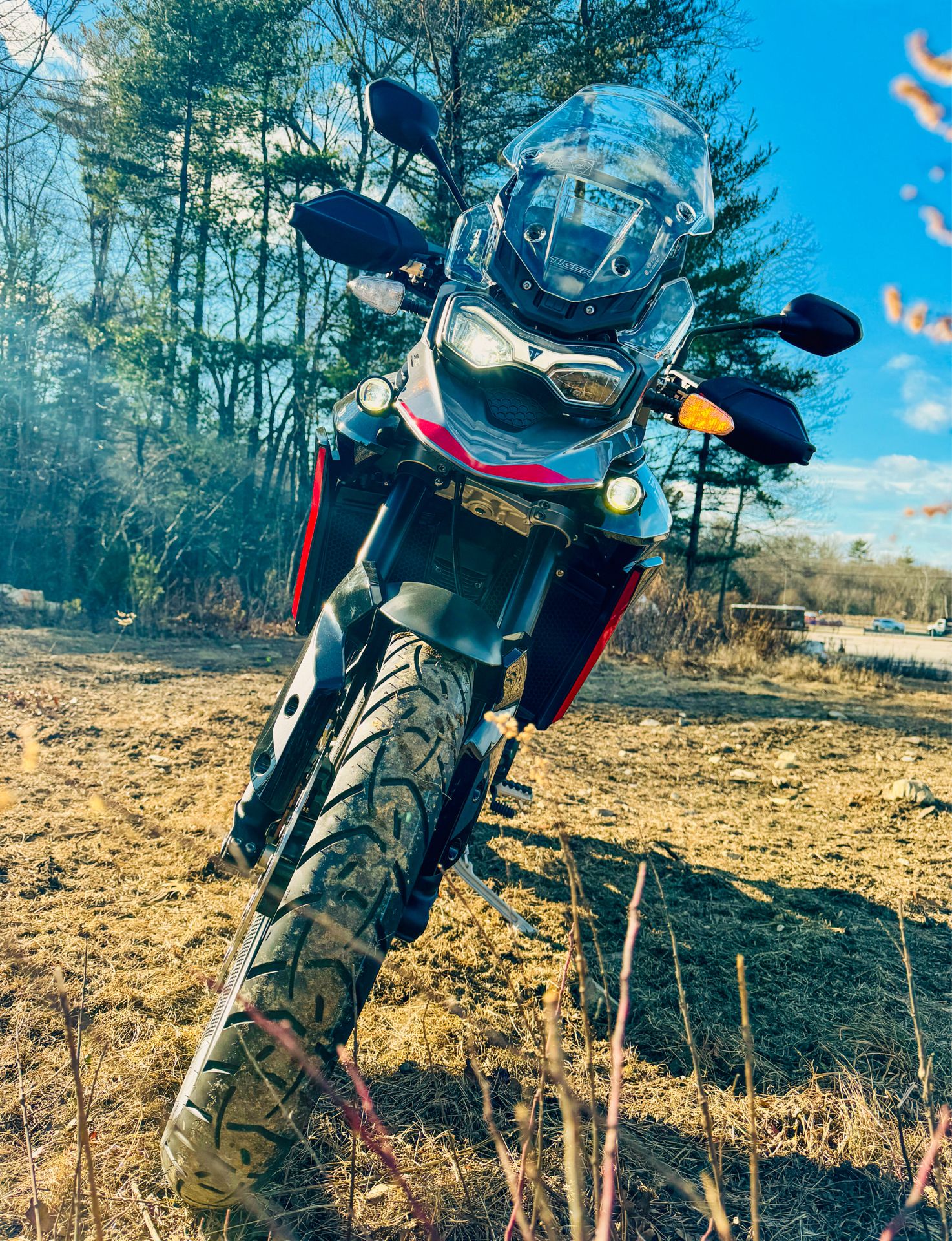 2025 Triumph Tiger 900 Rally Pro in Enfield, Connecticut - Photo 3