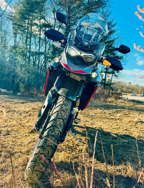 2025 Triumph Tiger 900 Rally Pro in Enfield, Connecticut - Photo 3