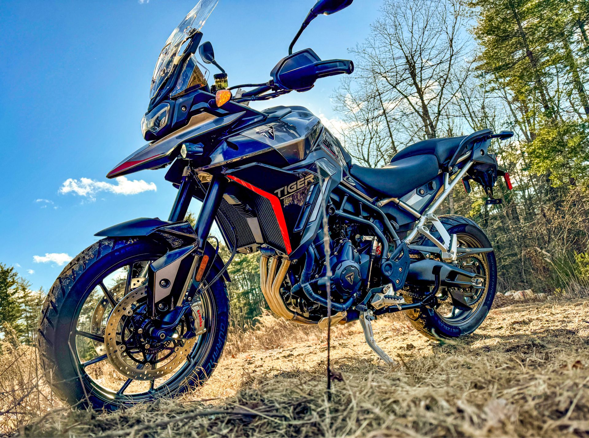 2025 Triumph Tiger 900 Rally Pro in Enfield, Connecticut - Photo 5