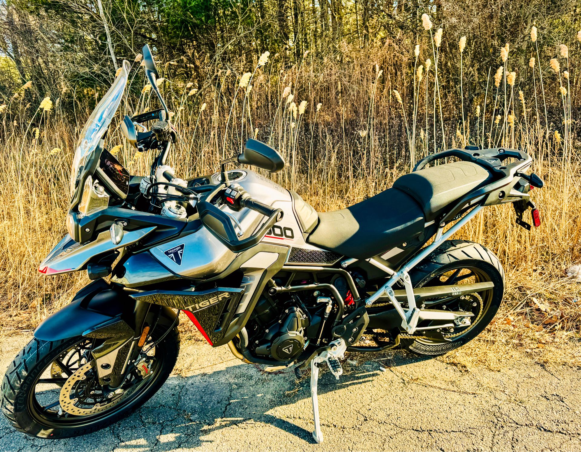 2025 Triumph Tiger 900 Rally Pro in Enfield, Connecticut - Photo 13