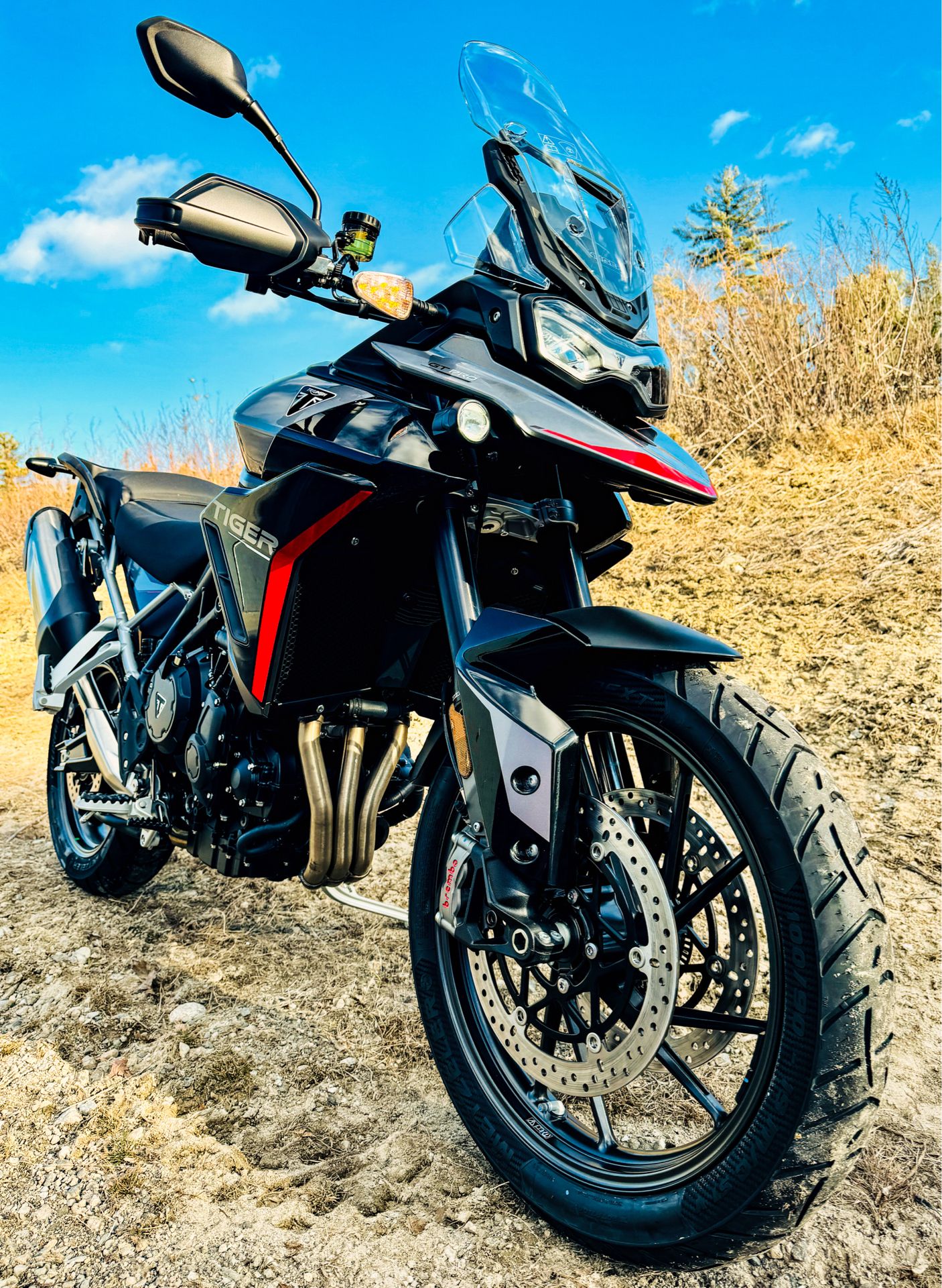 2025 Triumph Tiger 900 Rally Pro in Enfield, Connecticut - Photo 23