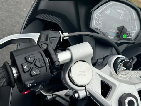 2025 Triumph Daytona 660 in Enfield, Connecticut - Photo 6