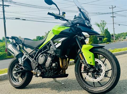 2025 Triumph Tiger 850 Sport in Enfield, Connecticut - Photo 1