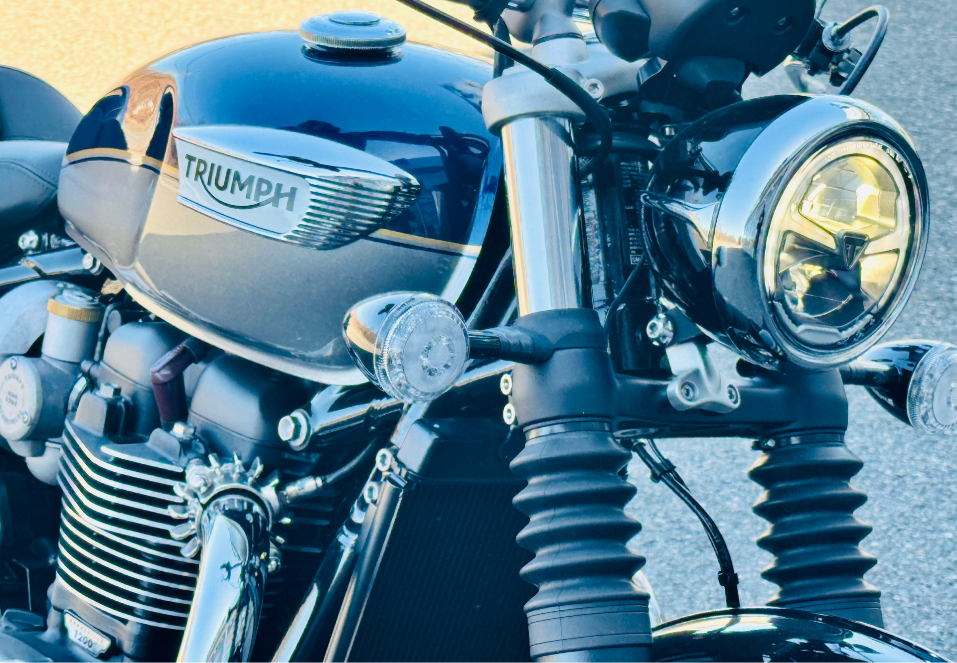 2024 Triumph Bonneville Speedmaster in Enfield, Connecticut - Photo 16