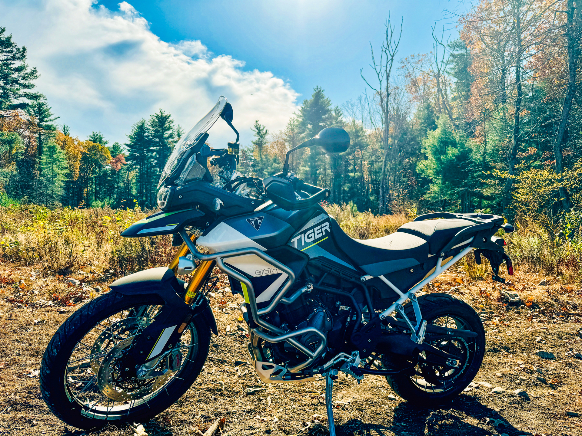 2024 Triumph Tiger 900 Rally Aragón Edition in Enfield, Connecticut - Photo 26