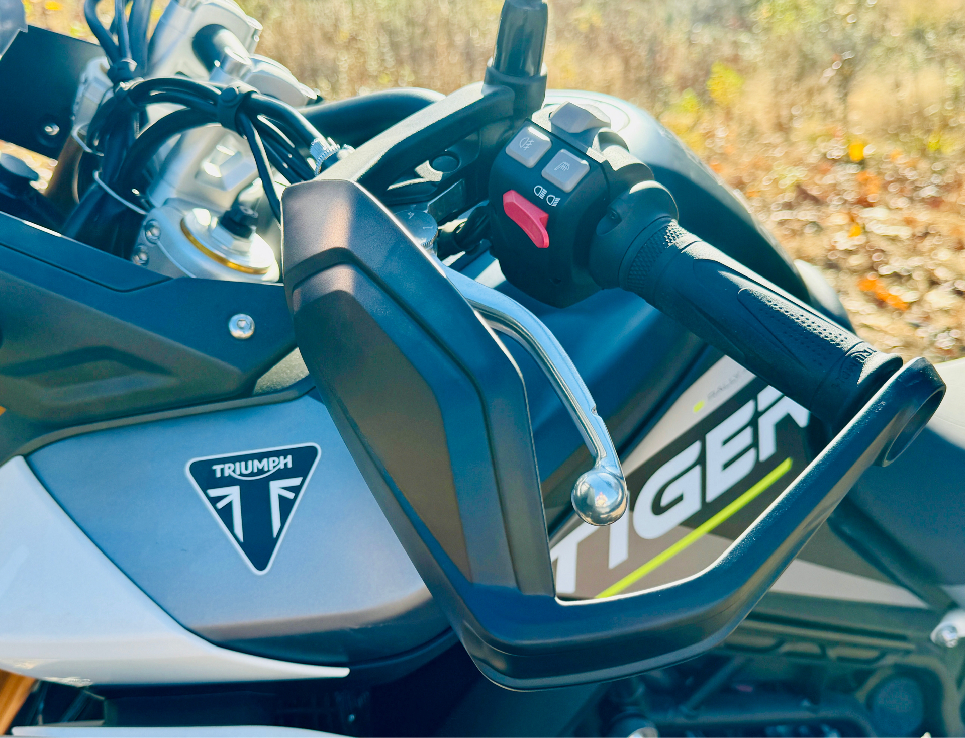 2024 Triumph Tiger 900 Rally Aragón Edition in Enfield, Connecticut - Photo 16