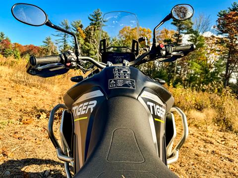2024 Triumph Tiger 900 Rally Aragón Edition in Enfield, Connecticut - Photo 28