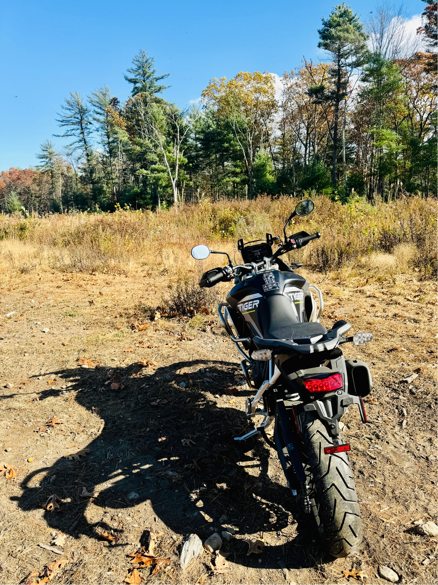 2024 Triumph Tiger 900 Rally Aragón Edition in Enfield, Connecticut - Photo 34