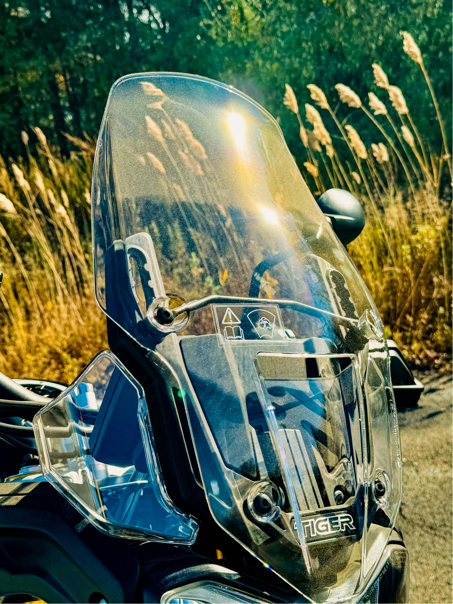 2024 Triumph Tiger 900 Rally Aragón Edition in Enfield, Connecticut - Photo 31