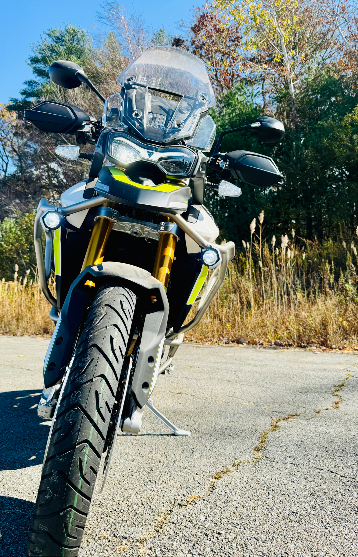 2024 Triumph Tiger 900 Rally Aragón Edition in Enfield, Connecticut - Photo 12