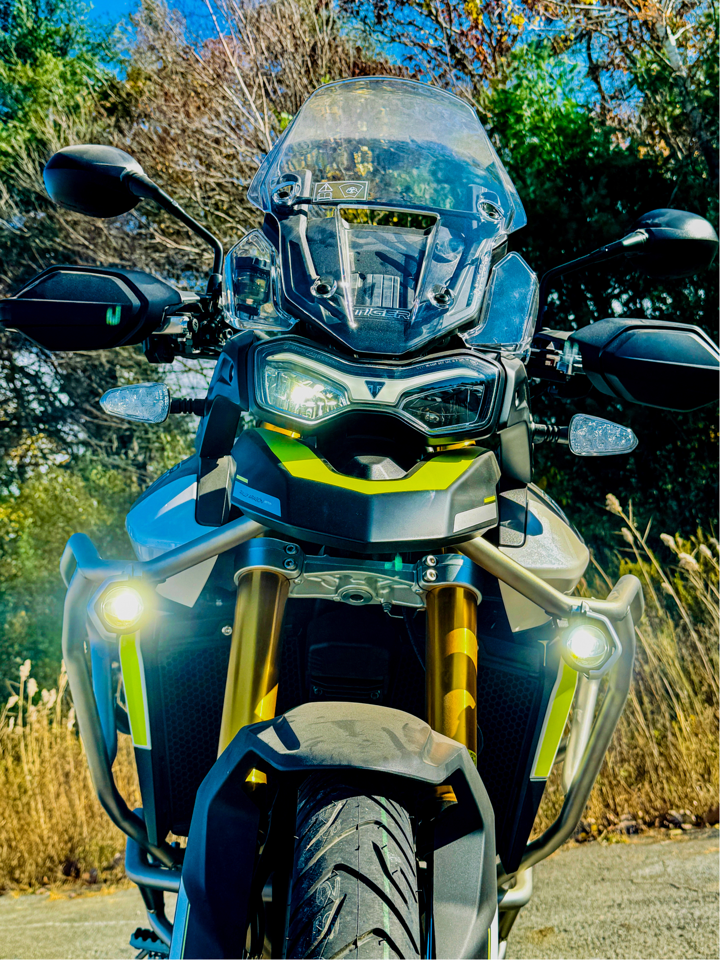2024 Triumph Tiger 900 Rally Aragón Edition in Enfield, Connecticut - Photo 7