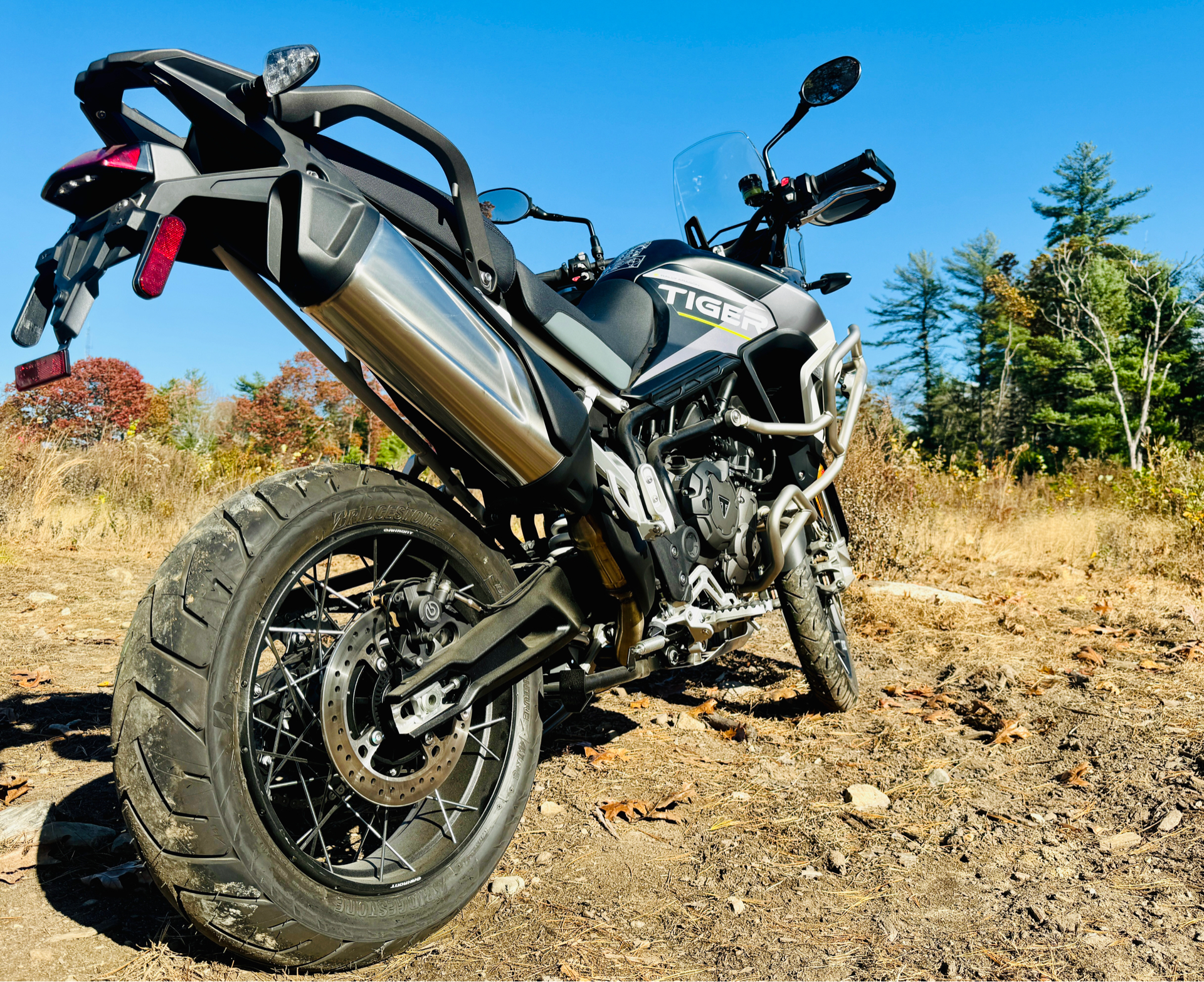 2024 Triumph Tiger 900 Rally Aragón Edition in Enfield, Connecticut - Photo 3
