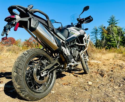 2024 Triumph Tiger 900 Rally Aragón Edition in Enfield, Connecticut - Photo 3