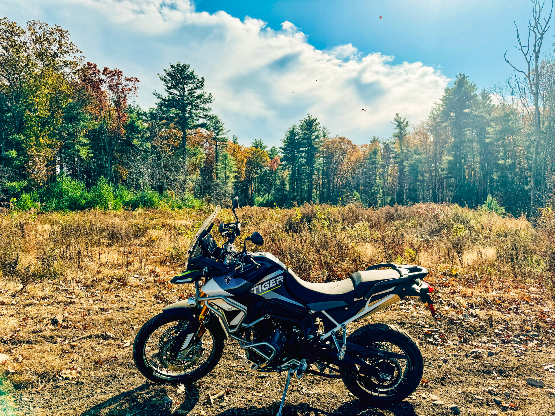 2024 Triumph Tiger 900 Rally Aragón Edition in Enfield, Connecticut - Photo 17