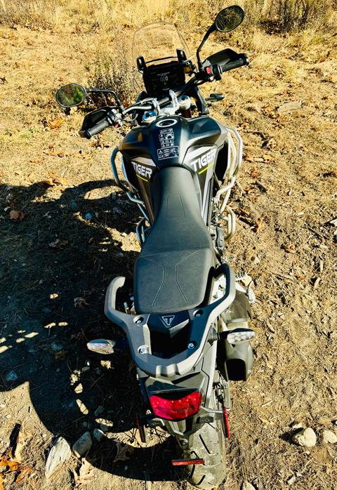 2024 Triumph Tiger 900 Rally Aragón Edition in Enfield, Connecticut - Photo 21