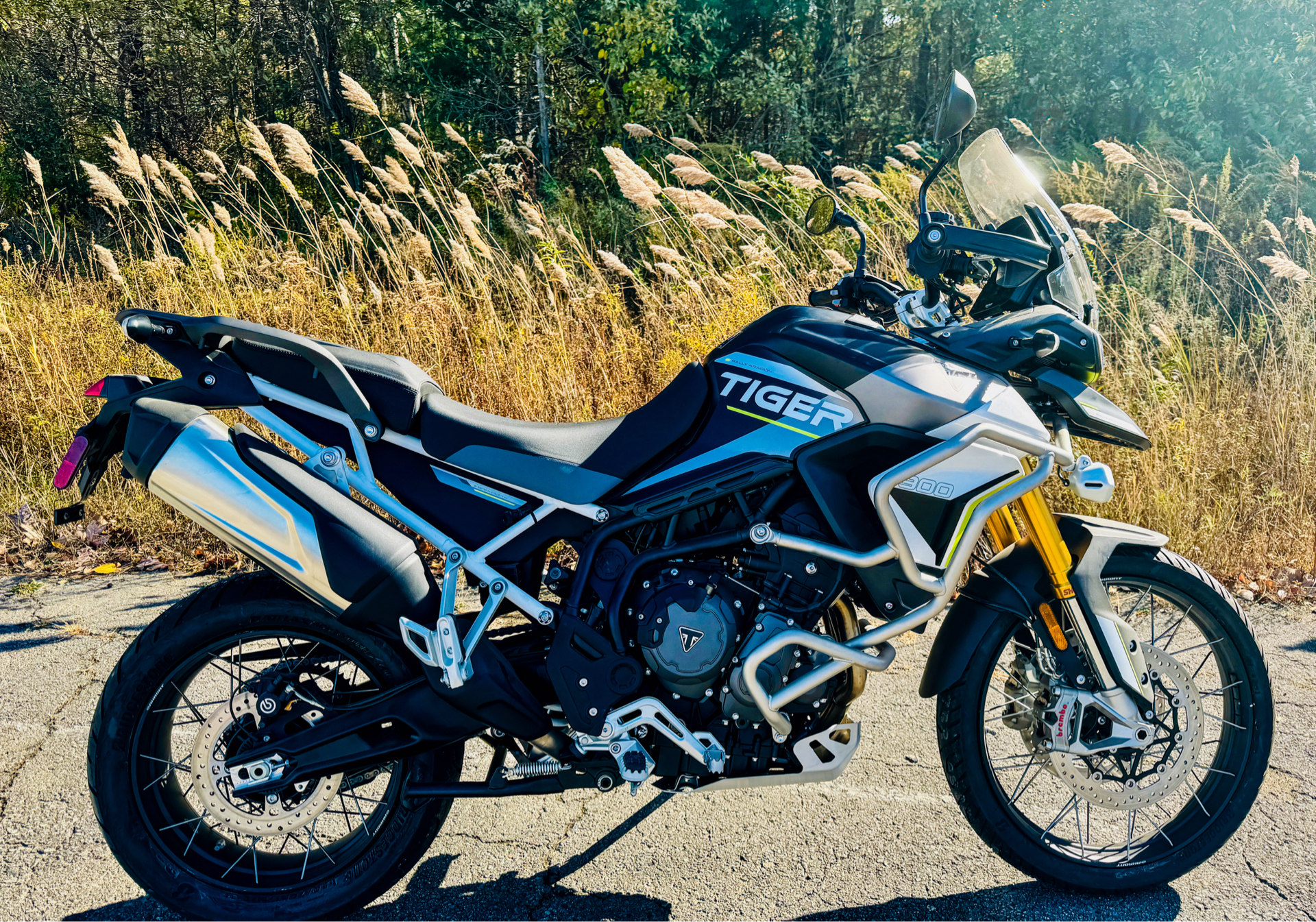 2024 Triumph Tiger 900 Rally Aragón Edition in Enfield, Connecticut - Photo 5