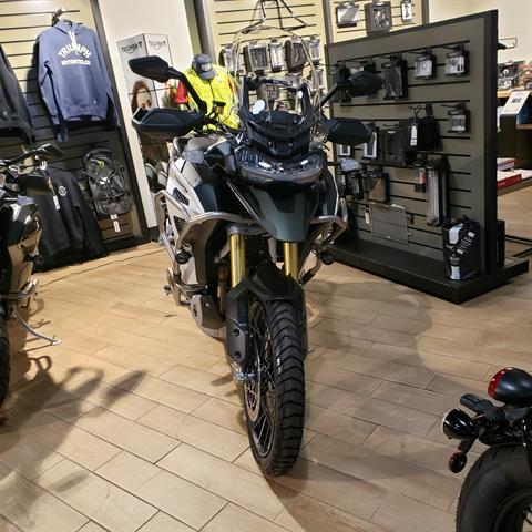 2024 Triumph Tiger 1200 Rally Explorer in Enfield, Connecticut - Photo 3