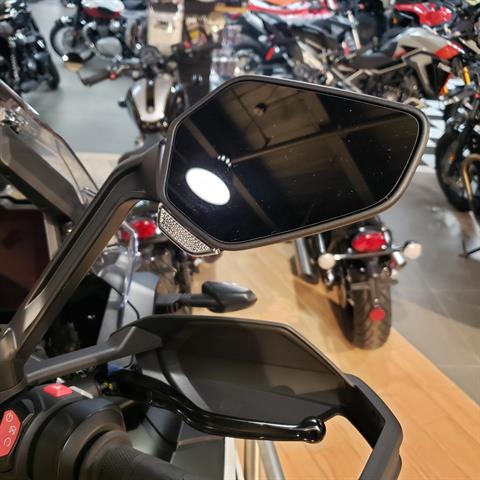 2024 Triumph Tiger 1200 Rally Explorer in Enfield, Connecticut - Photo 10
