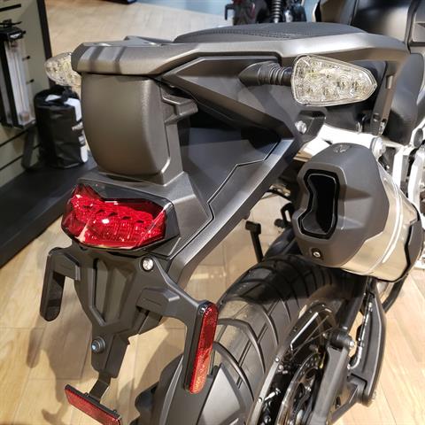 2024 Triumph Tiger 1200 Rally Explorer in Enfield, Connecticut - Photo 12