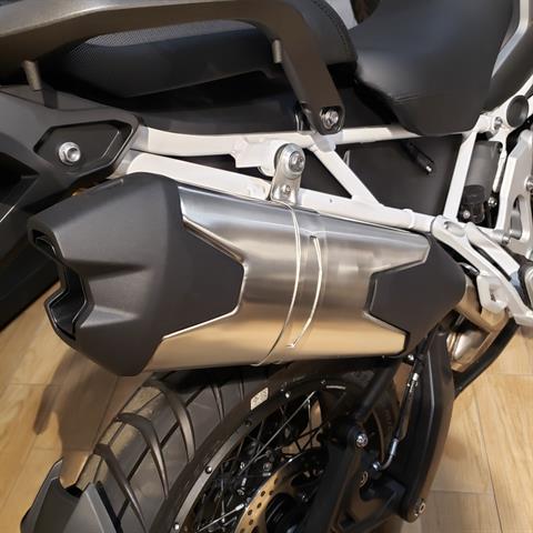 2024 Triumph Tiger 1200 Rally Explorer in Enfield, Connecticut - Photo 13