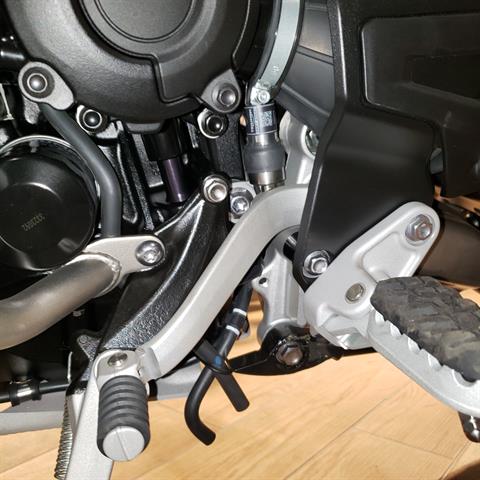 2024 Triumph Tiger 1200 Rally Explorer in Enfield, Connecticut - Photo 15