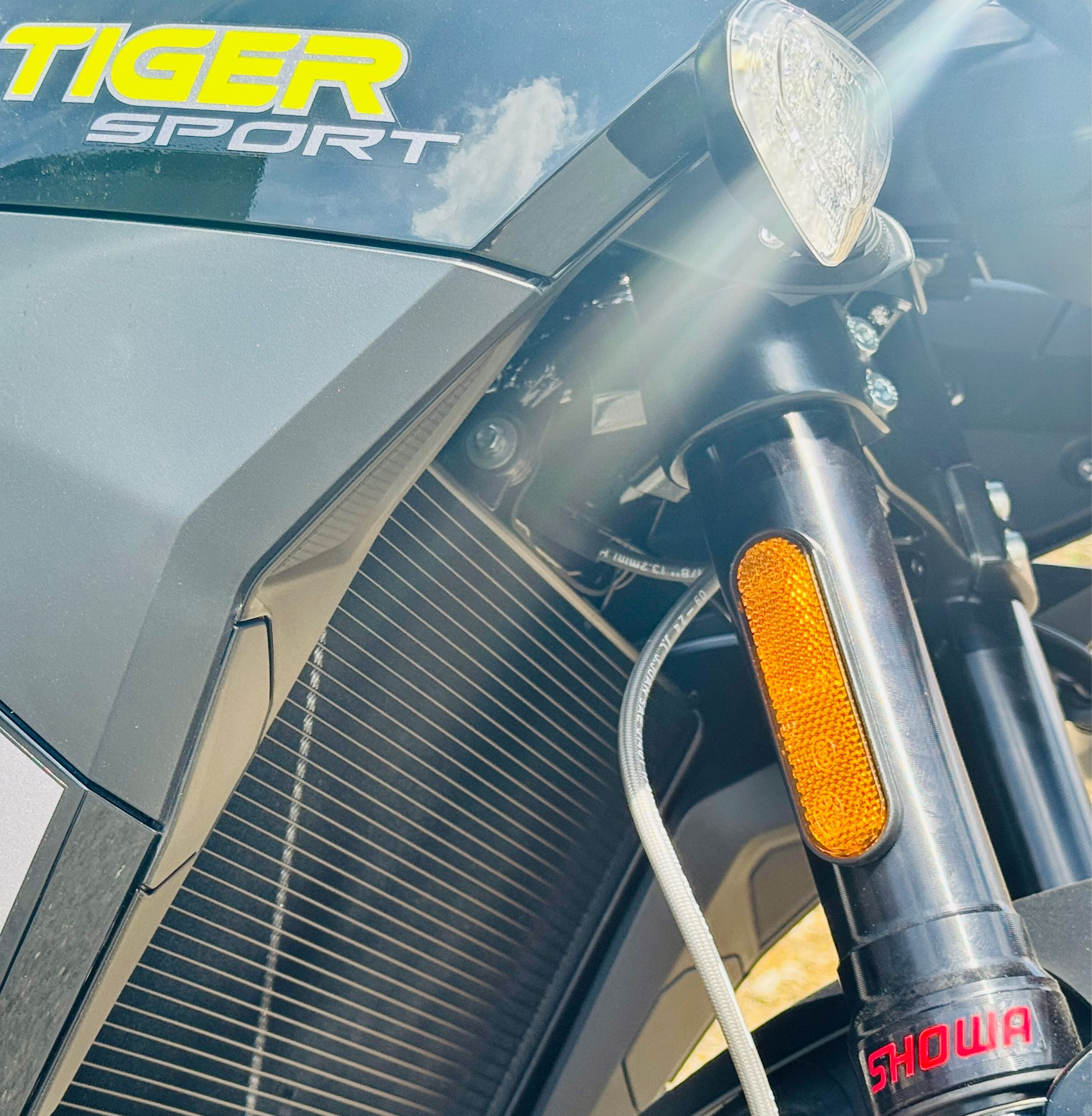 2025 Triumph Tiger Sport 800 in Enfield, Connecticut - Photo 6