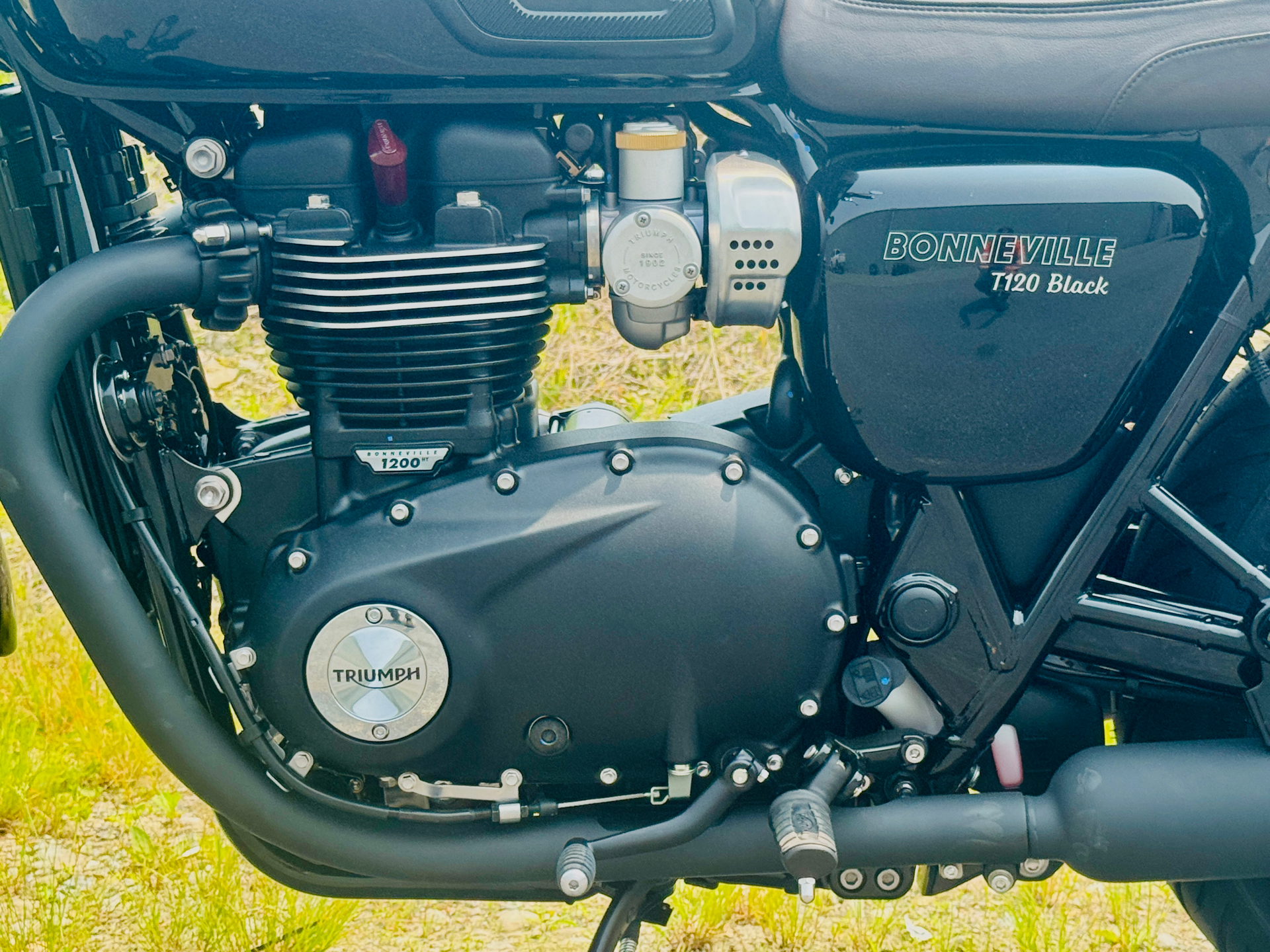 2025 Triumph Bonneville T120 Black in Enfield, Connecticut - Photo 6