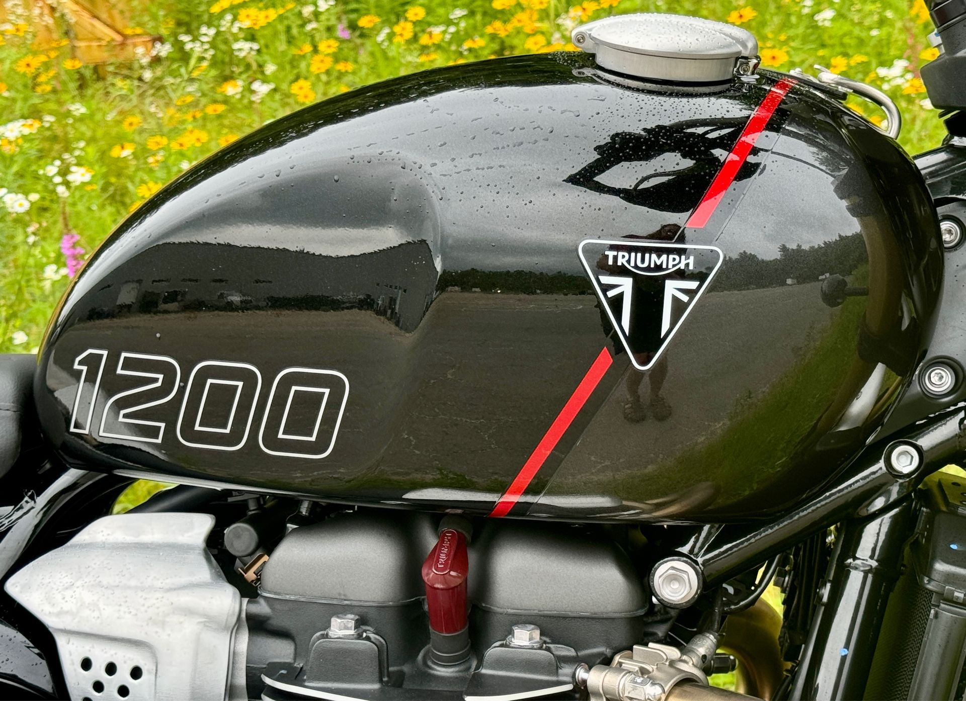 2024 Triumph Scrambler 1200 XE in Enfield, Connecticut - Photo 6