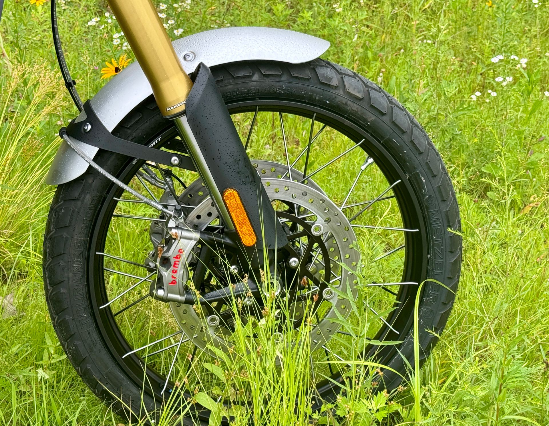 2024 Triumph Scrambler 1200 XE in Enfield, Connecticut - Photo 24