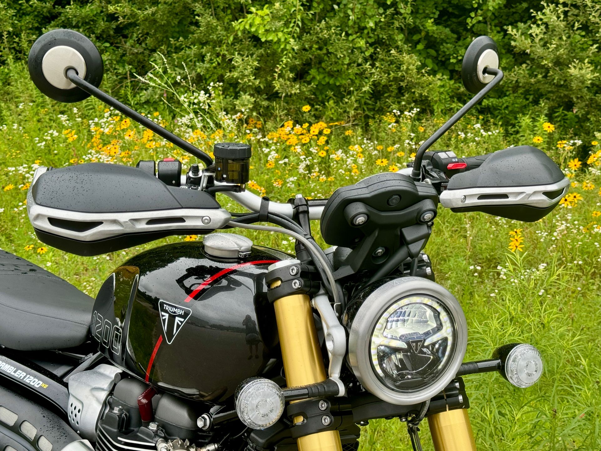 2024 Triumph Scrambler 1200 XE in Enfield, Connecticut - Photo 16