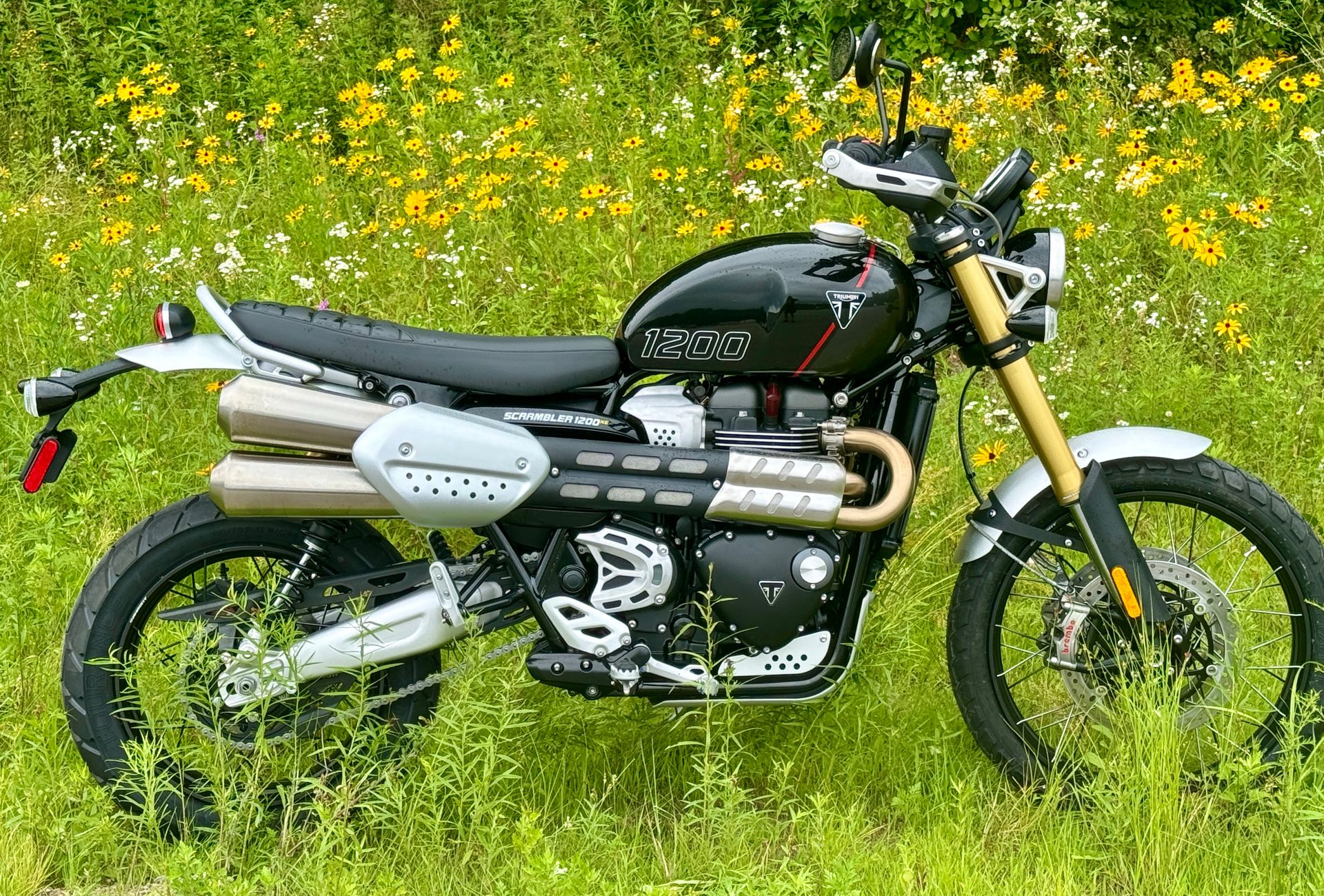 2024 Triumph Scrambler 1200 XE in Enfield, Connecticut - Photo 1