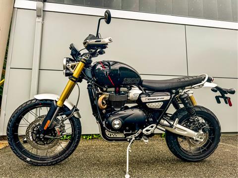 2024 Triumph Scrambler 1200 XE in Enfield, Connecticut - Photo 5