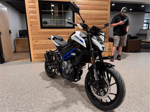 2024 CFMOTO 300NK in Gorham, New Hampshire - Photo 7