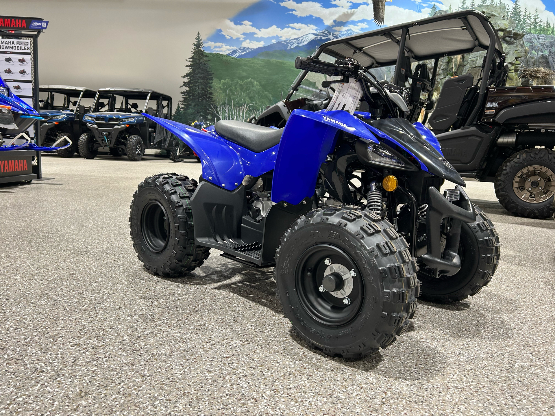 2025 Yamaha YFZ50 in Gorham, New Hampshire - Photo 3