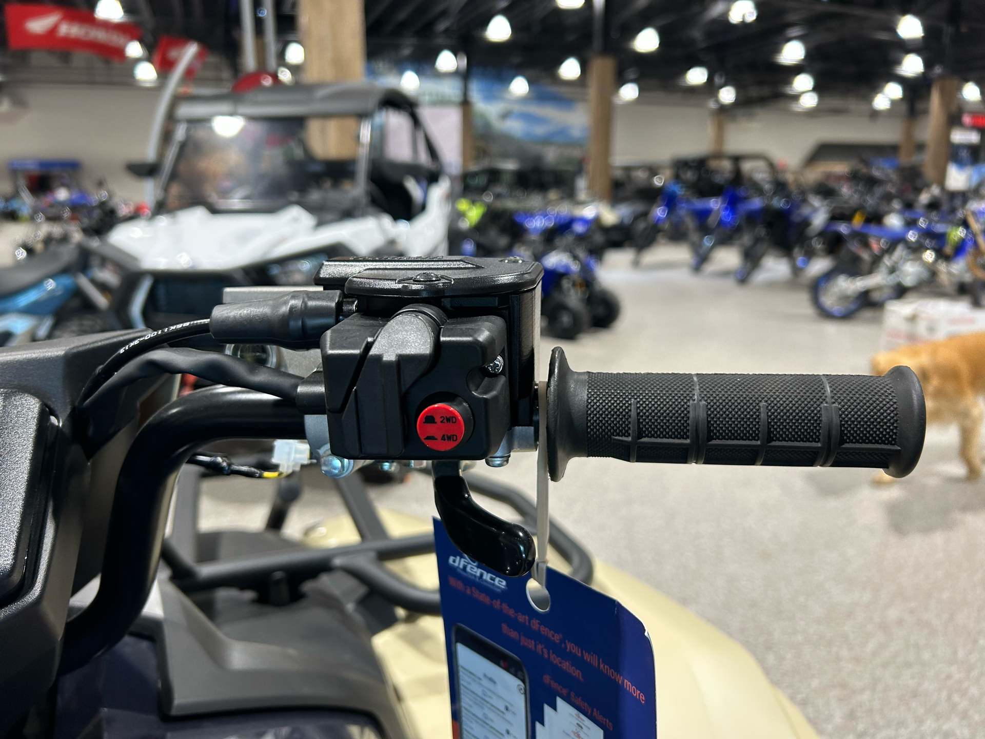 2024 Yamaha Kodiak 700 EPS SE in Gorham, New Hampshire - Photo 3