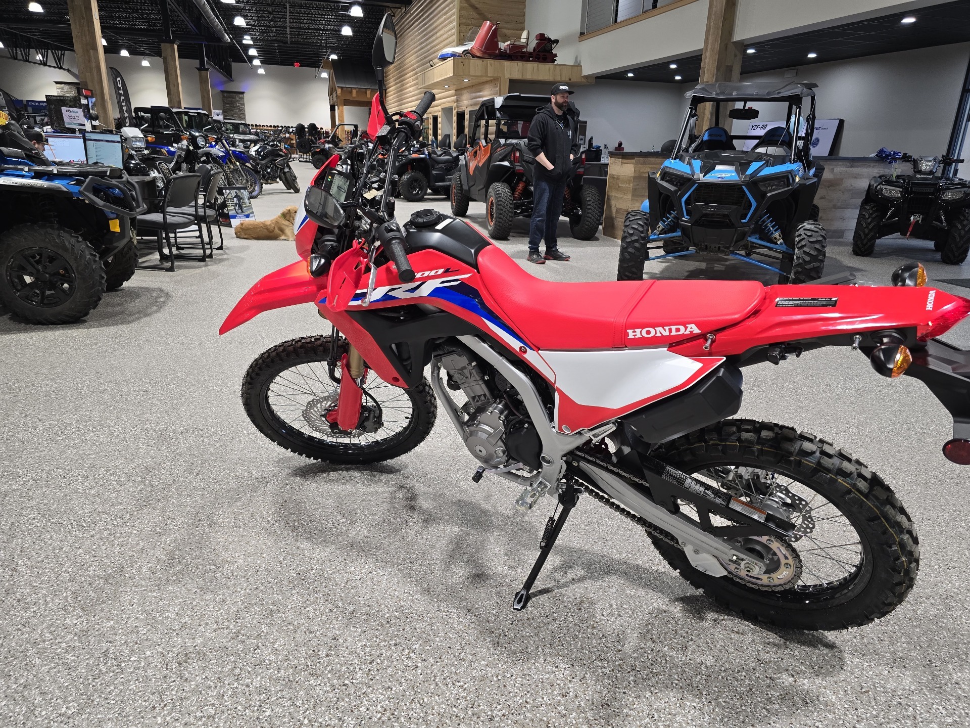 2024 Honda CRF300L ABS in Gorham, New Hampshire - Photo 1