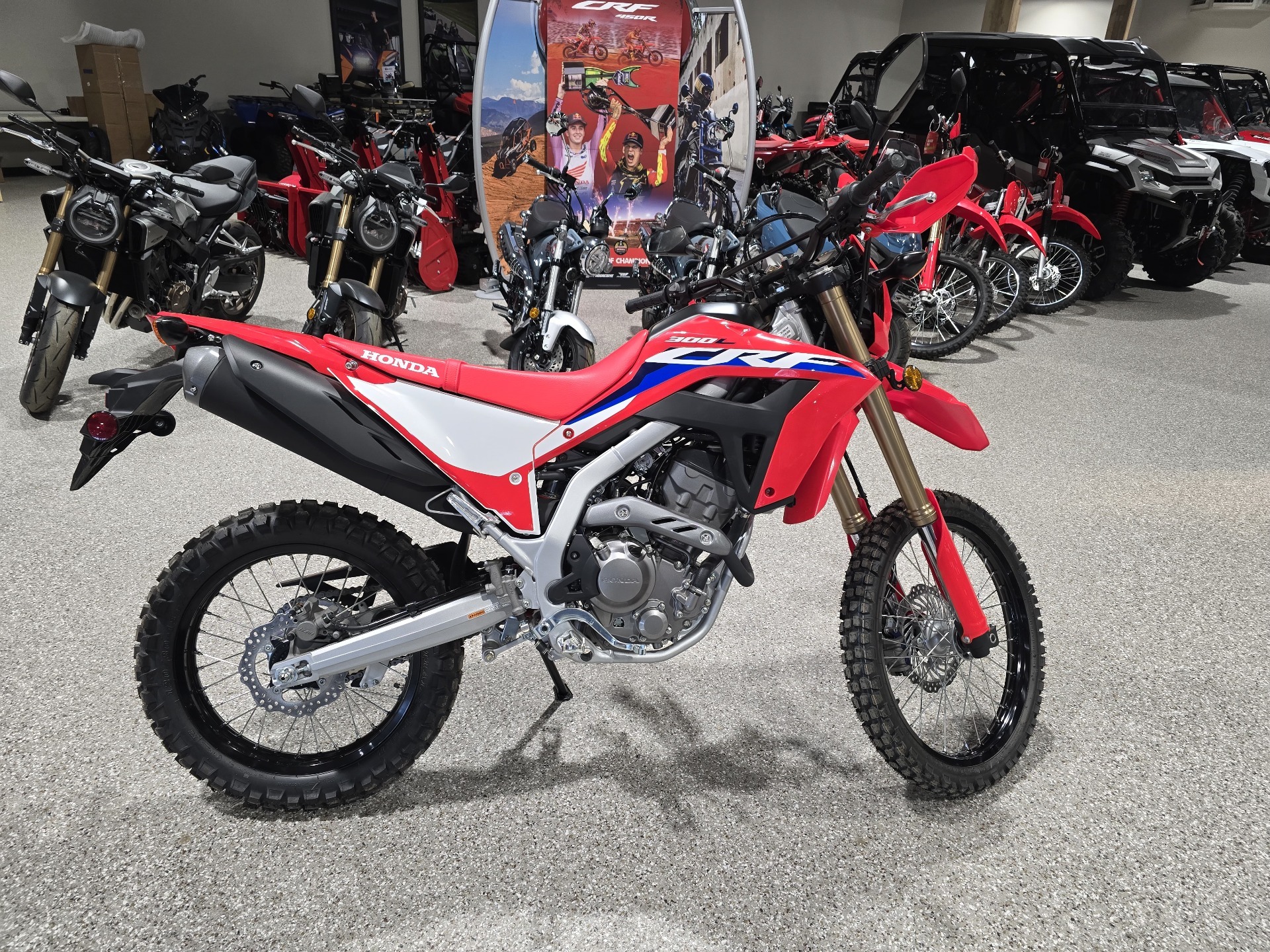 2024 Honda CRF300L ABS in Gorham, New Hampshire - Photo 6
