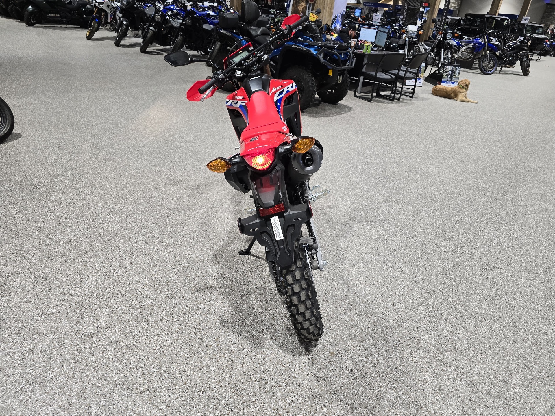 2024 Honda CRF300L ABS in Gorham, New Hampshire - Photo 8